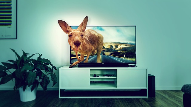 3D TVs were a rage when they were first launced. I bought one too! But the entire category is now considered a failed product.
